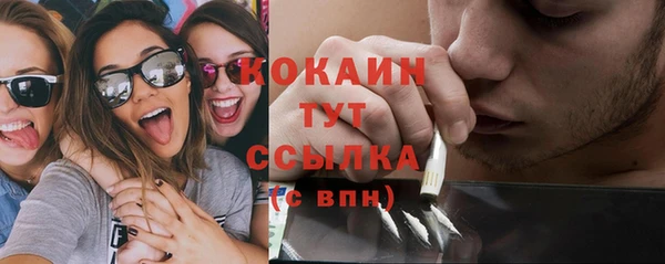 прущие грибы Алексин