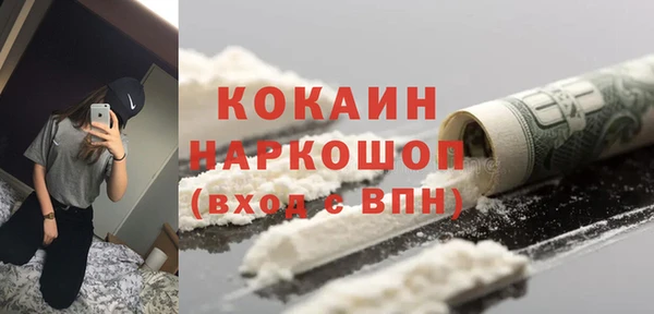 прущие грибы Алексин