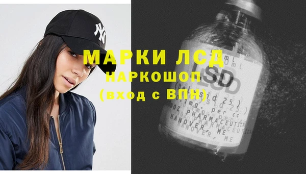 прущие грибы Алексин