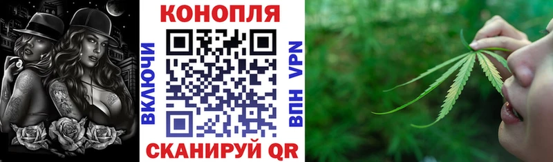 закладки  Пролетарск  Шишки марихуана индика 